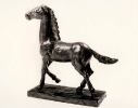 Cavallo