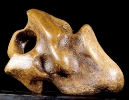 Forma Scultorea