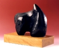 Rinoceronte